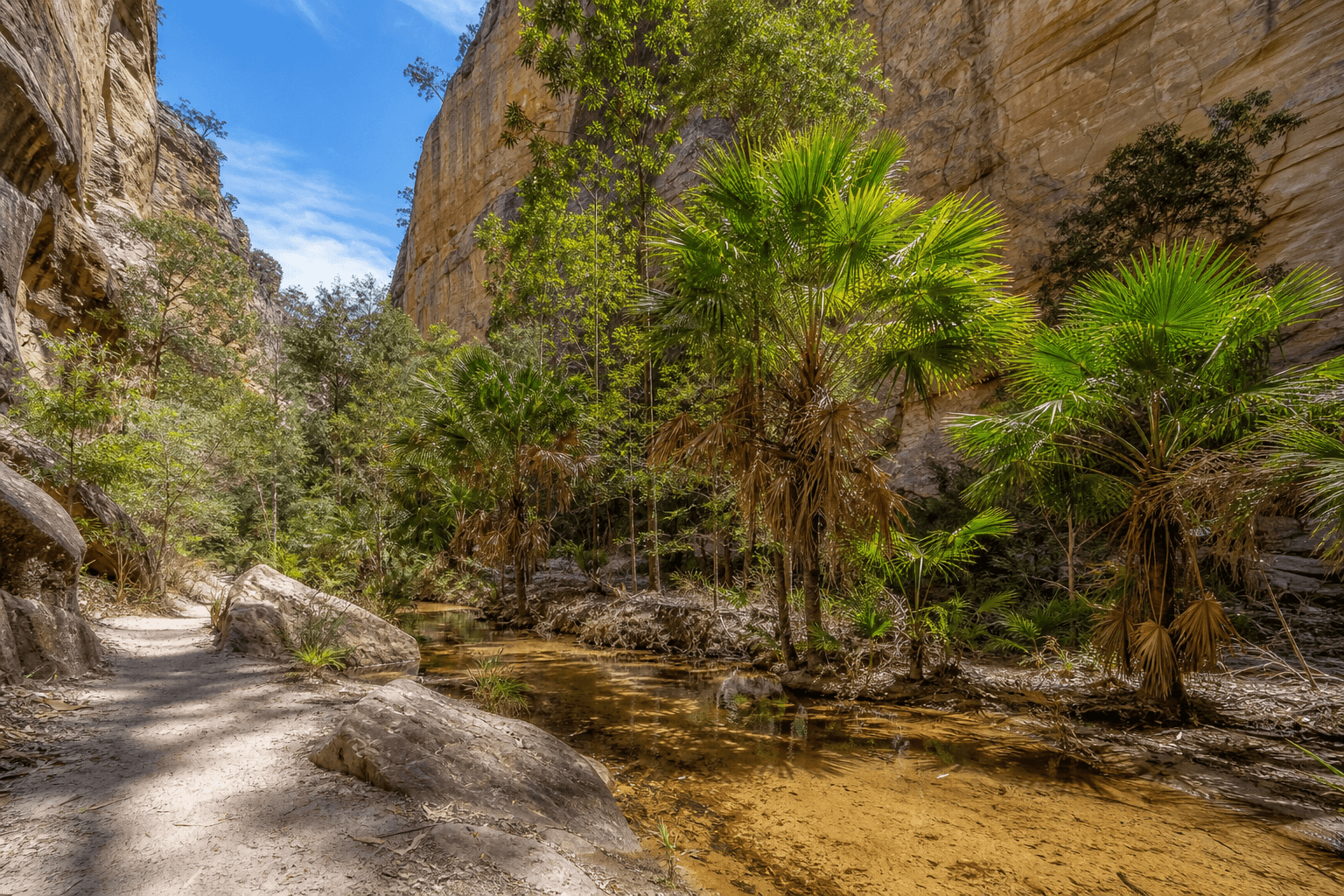 Cover Image for Carnarvon Gorge Main Track: Central Queensland walk guide