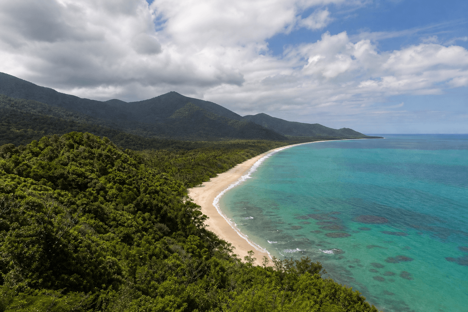 Cover Image for Daintree & Cape Tribulation Walking: Tracks, Crocs & Stinger Season Honesty