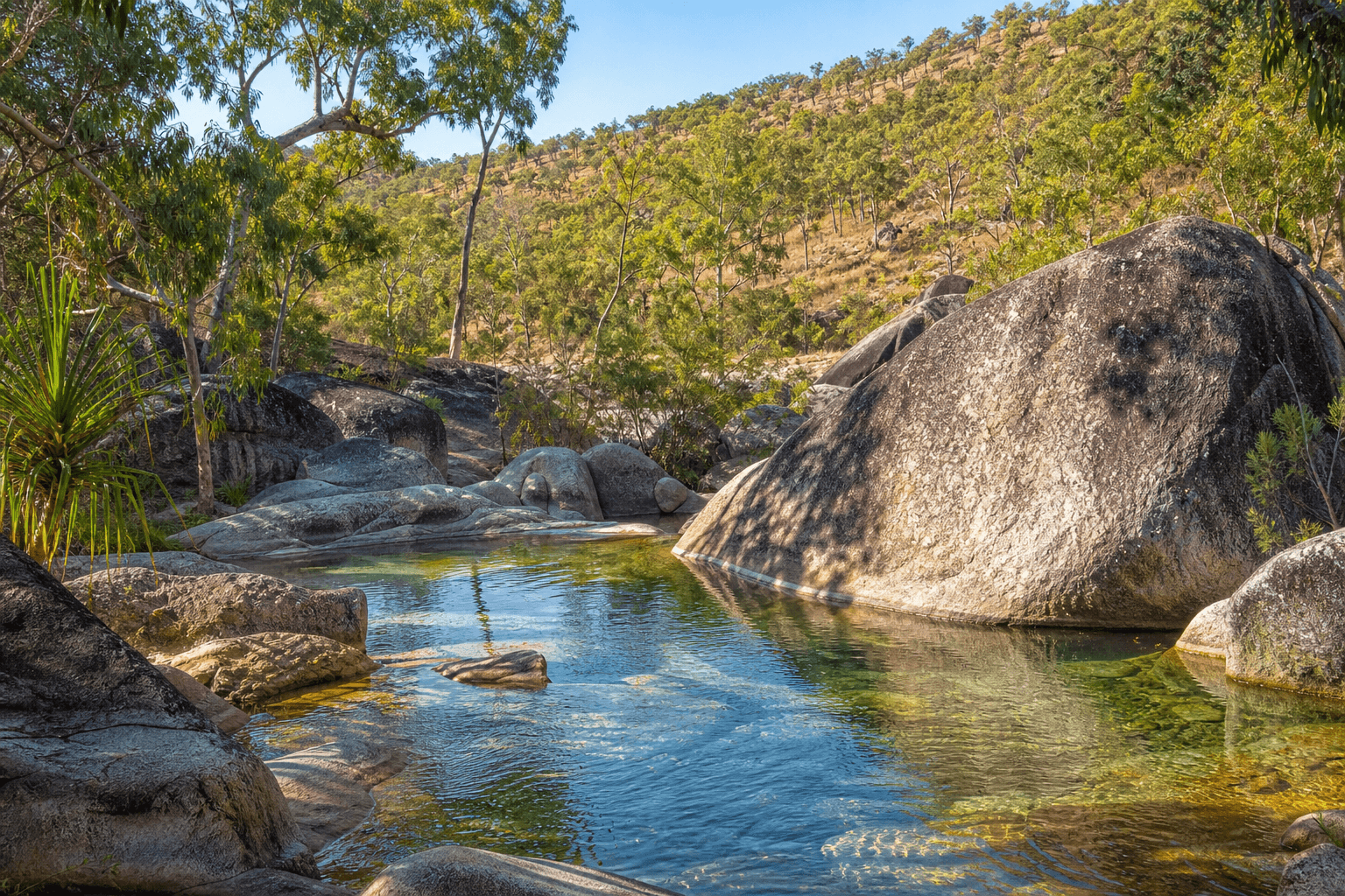 Cover Image for Davies Creek National Park Walks Near Mareeba & Cairns Tablelands Gateways