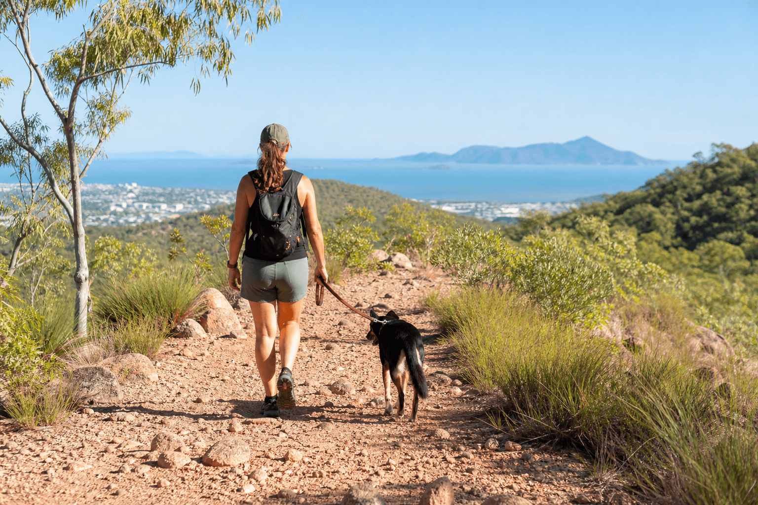 Cover Image for Dog-Friendly Hikes in Townsville: Where to Walk Your Best Friend