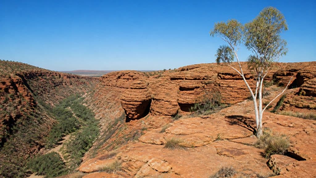 Cover Image for Kings Canyon Rim Walk: Watarrka National Park guide