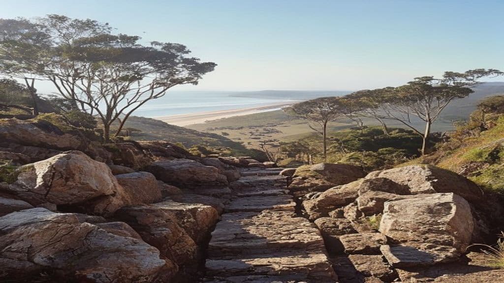 Cover Image for Mount Coolum summit walk: Sunshine Coast guide