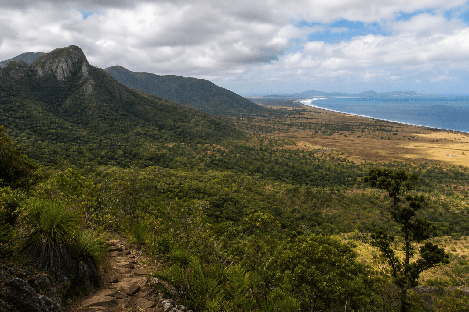 Cover Image for North Queensland Bushwalking: Seasons, Skills, Regions