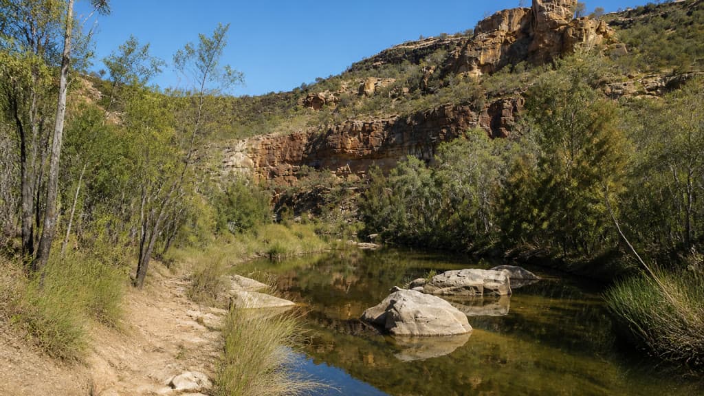 Cover Image for Pyramid walking track: Porcupine Gorge National Park guide