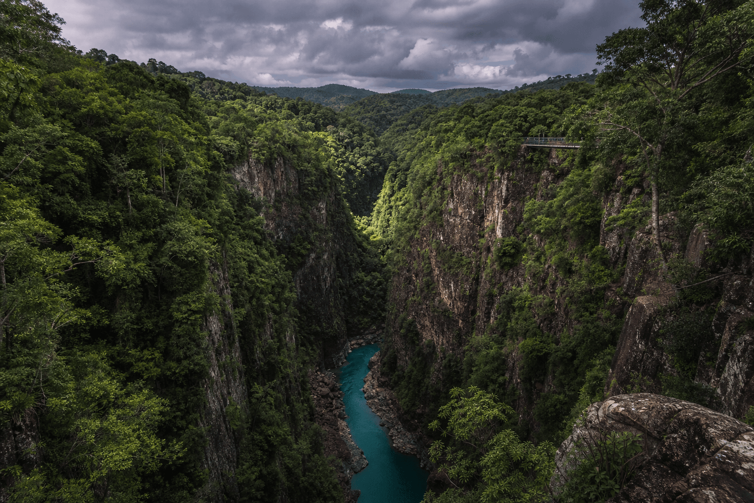 Cover Image for Tully Gorge National Park Walks: Forest, Gorges & Wet Tropics Pacing