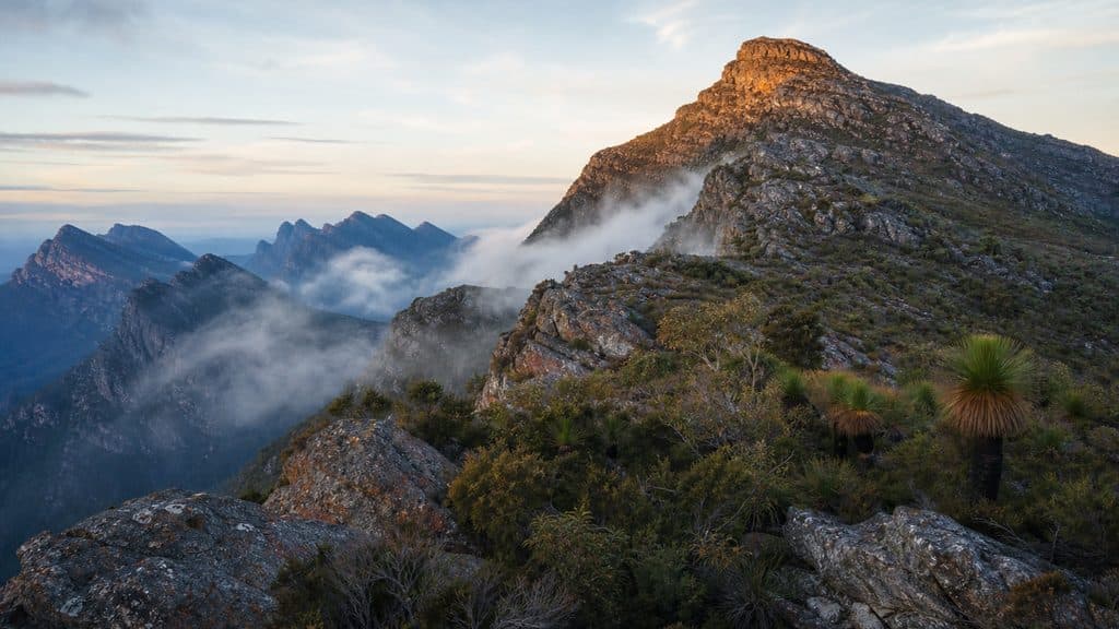 Cover Image for Bluff Knoll summit walk: Stirling Range National Park guide