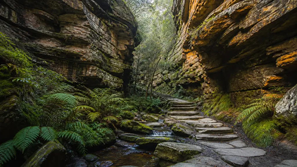 Cover Image for Grand Canyon track: Blue Mountains National Park guide