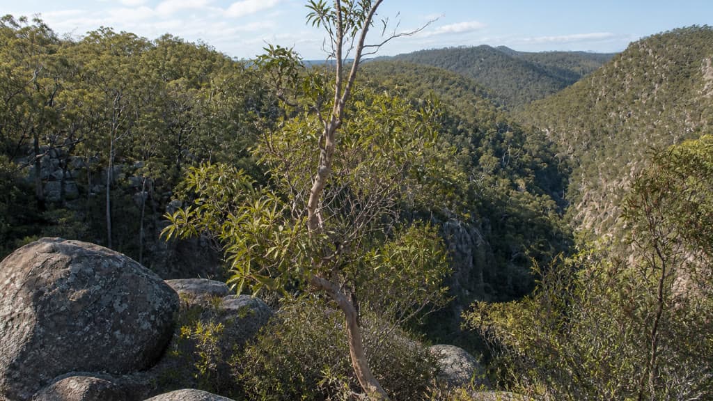 Cover Image for Koonin Lookout walk: Crows Nest National Park guide